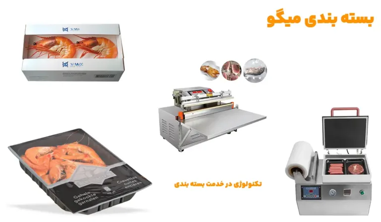 بسته بندی میگو