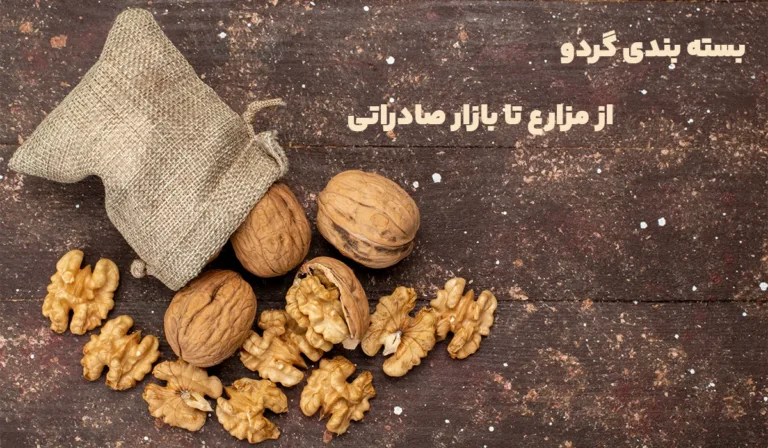 بسته بندی گردو